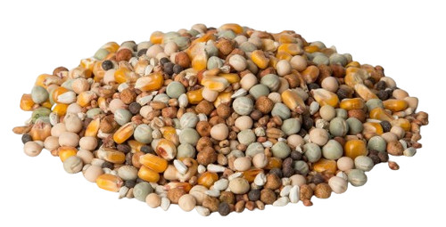 Pigeon mix high performance - pigeon,