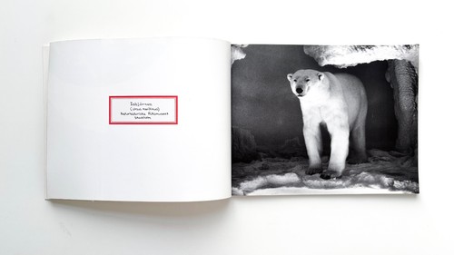 Mark dion polar bear - mark,