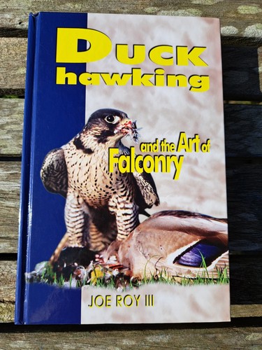 Falconry duck hawking - hawking, and