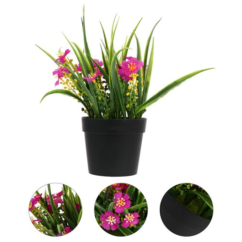 Set simulated clivia - ,