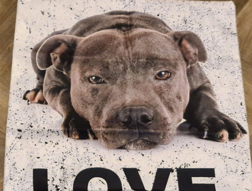 Brown staffy love dog soft - staffy,