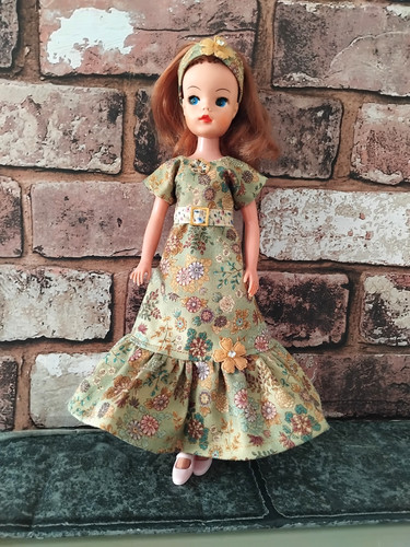 Maxi dress for pedigree - dress,