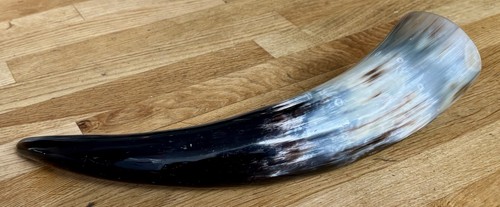 Polished dringing buffalo horn - polished,