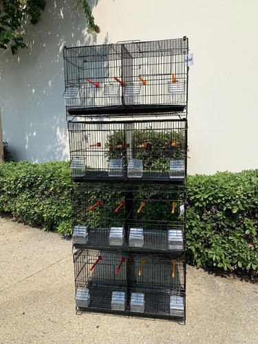 Set stackable breeding - 4,