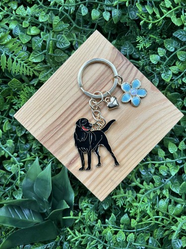 Black labrador retriever - labrador,