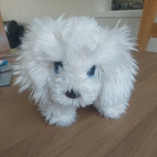 Keel toys labradoodle bichon - toys,