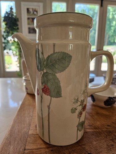 Wedgewood raspberry cane - ,