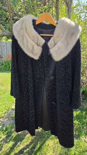 Vintage curly persian - vintage, 50’s