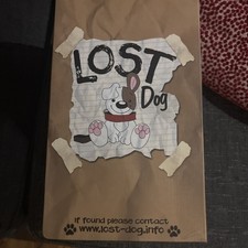 Lost Dog Collectable Figurine