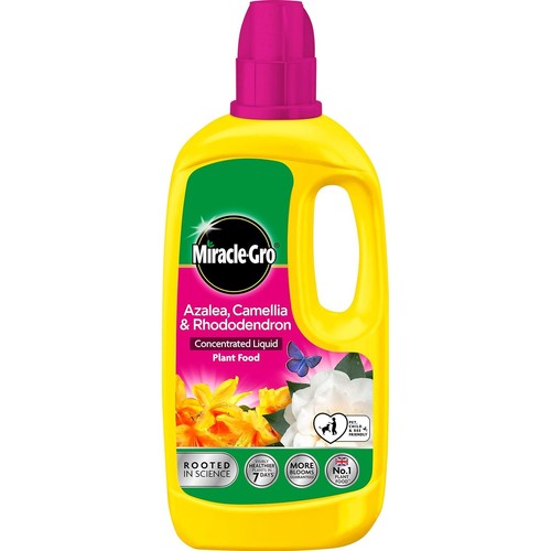 Miracle gro ericaceous - miracle,