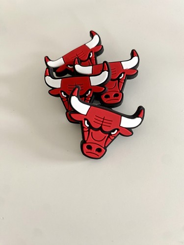 Chicago bulls basketball shoe - basketball,