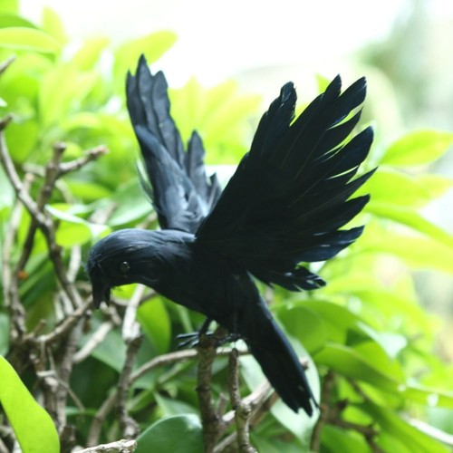 Black halloween bird - black, realistic