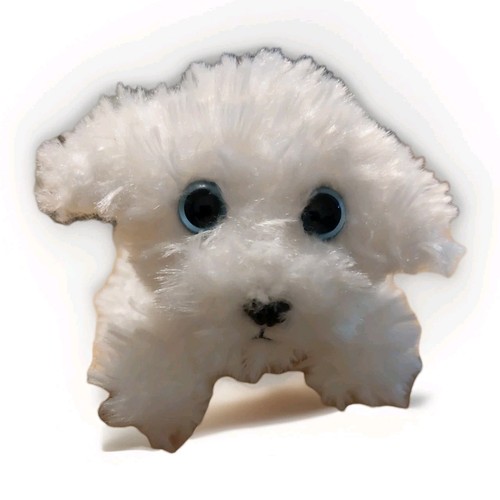 Russ petooties pets bichon - pets,