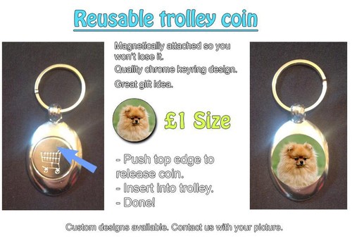 Pomeranian dog reusable - dog,
