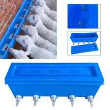 Lamb feed Bottle Farm Drinking