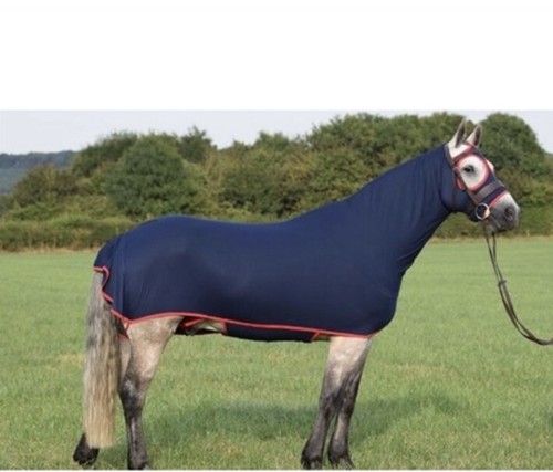 Belvoir rug company the - company,