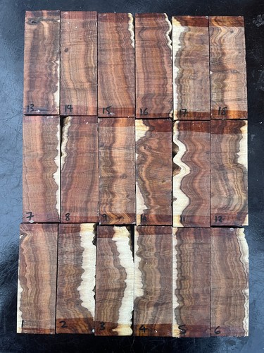 Brigalow curly eucalytus - /,