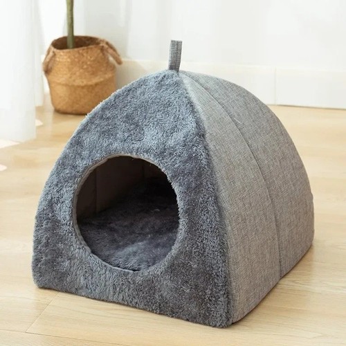 Soft grey pet cat kitten - pet, cat/kitten