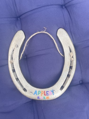 Appleby fair horseshoe - fair, off