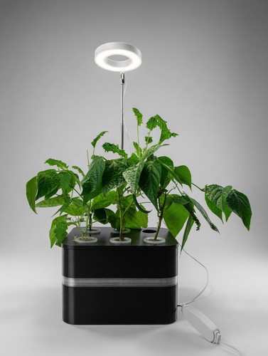 Hydroponic growing system - growing,