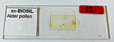 Ex-Biosil Microscope Specimen Slide #59 - "Alder Pollen"