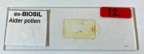 Biosil microscope specimen - microscope,
