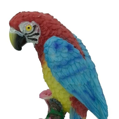 Red scarlet macaw parrot - red,