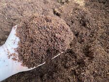 Snail bedding, Great for Giant African Land Snail, frogs, spiders, lizards, coir