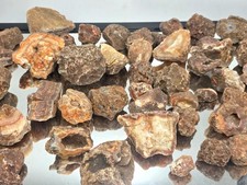 Ngabu Malawi Small / Large