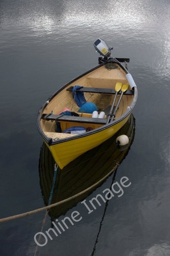 Photo 6x4 yellow - photo,