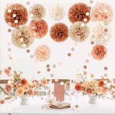 20 Pcs Tissue Paper Pom Poms