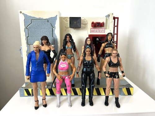 Wwe women wrestling figures - wwe,