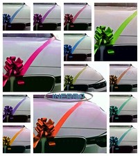 Wedding Car Decoration Kit - 3
