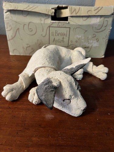 Rare breed apart bulls - rare, eye"