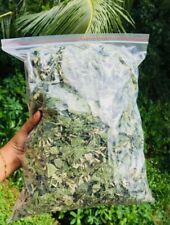 Mexican Dream Herb Calea