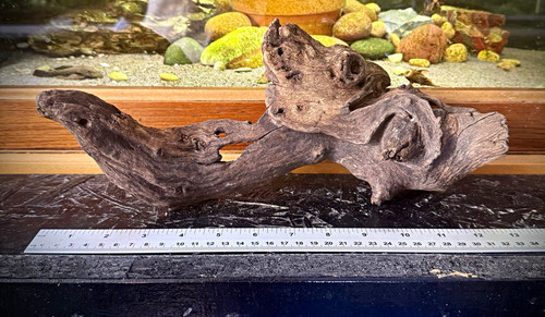 Natural aquarium - natural,
