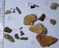 Fantastic Collection of Real