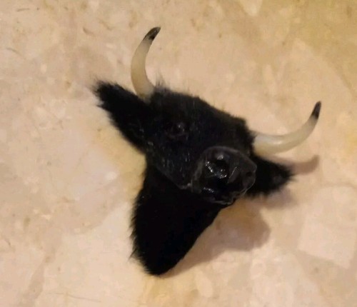 Black bull with - bull,,