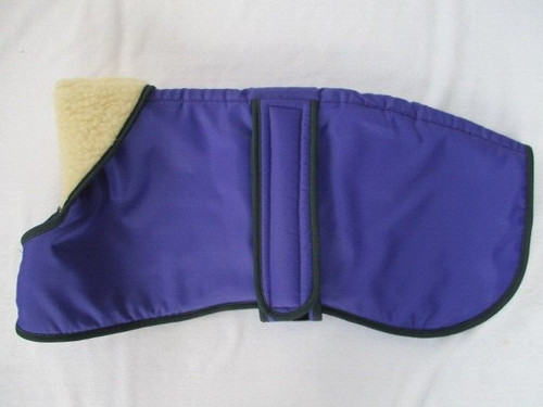 43m whippet coat purple - 43m,