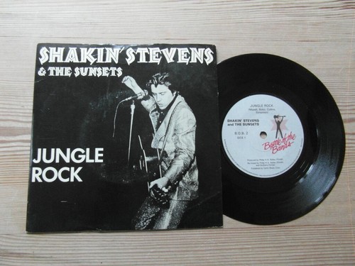Shakin stevens the sunsets - shakin,