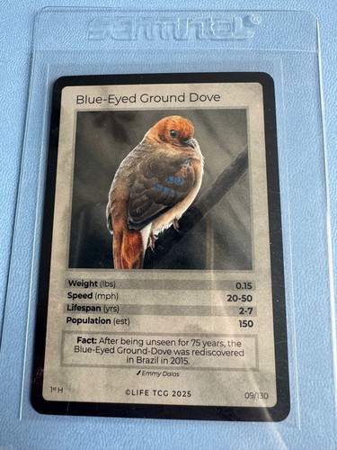 Life tcg birds - tcg,