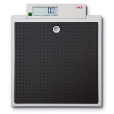 875 - Flat Scale With