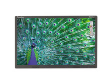 Promethean ActivPanel -