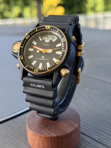 Rare citizen promaster - rare,