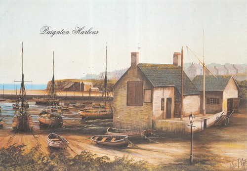 Kevin platt paintings paignton - platt,