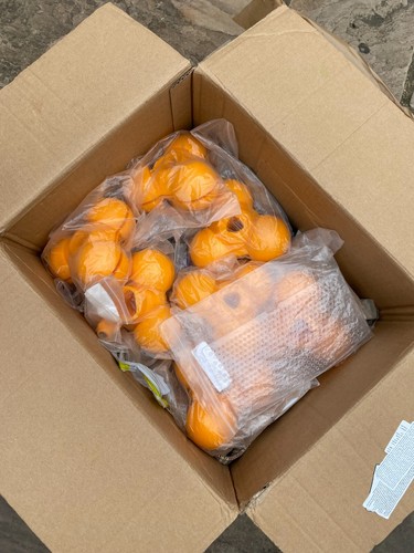 Zumex orange juice parts - juice,