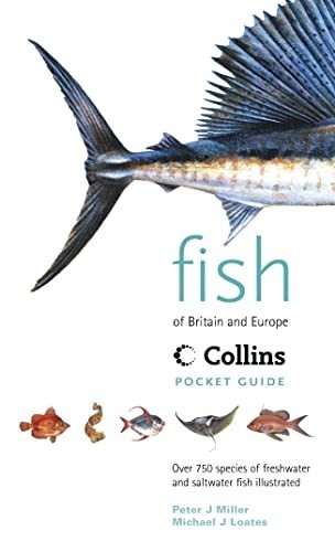 Collins pocket guide fish of - collins,