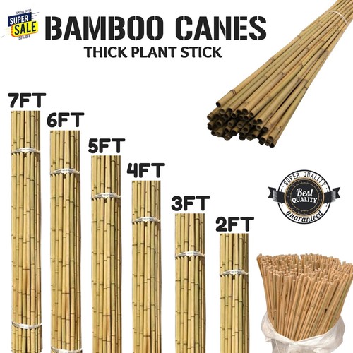 Bamboo canes garden thick - canes,