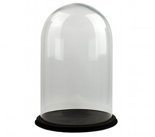 Clear circular glass dome - clear,