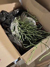 Vitra Algue - Room Divider And